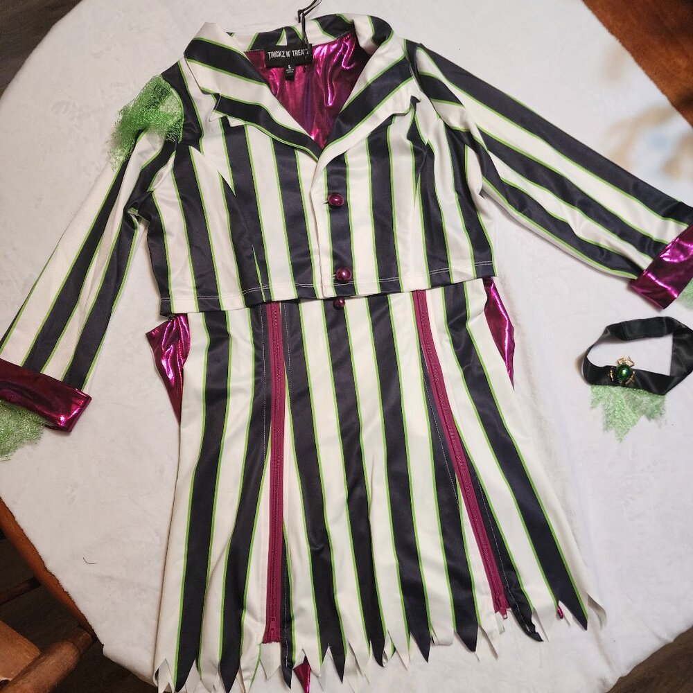 DOLLSKILL HALLOWEEN BEETLE COSTUME